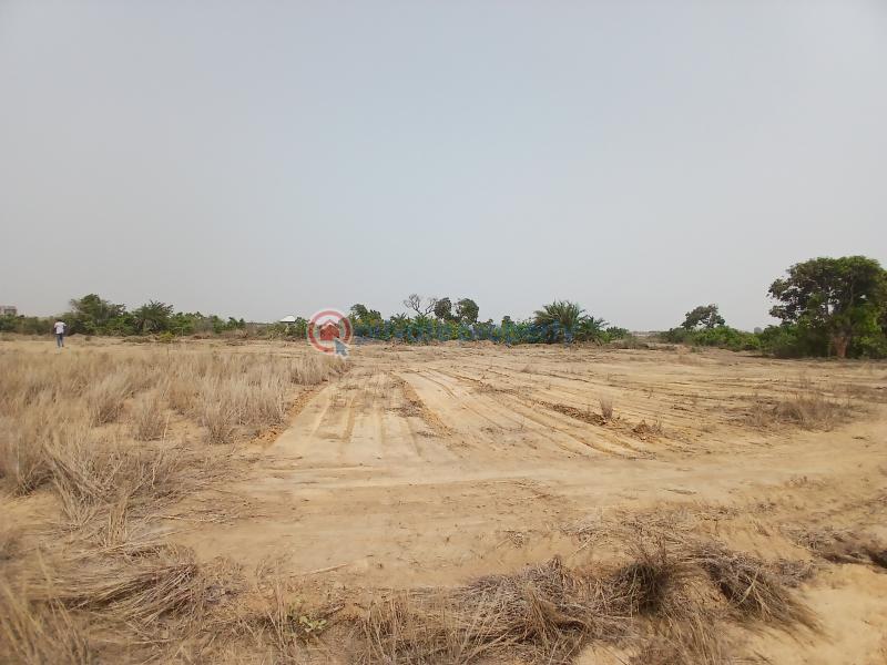 Land For Sale Ningo Prampram District Accra - 2