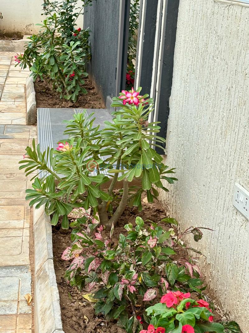 3 bedroom House For Sale The Havens Ayi Mensah Oyarifa La Nkwantanang Madina Municipal Accra - 18