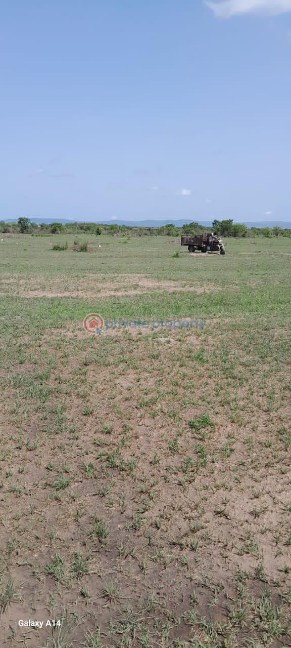 Land For Sale Shai Hills Shai Osudoku Accra - 3