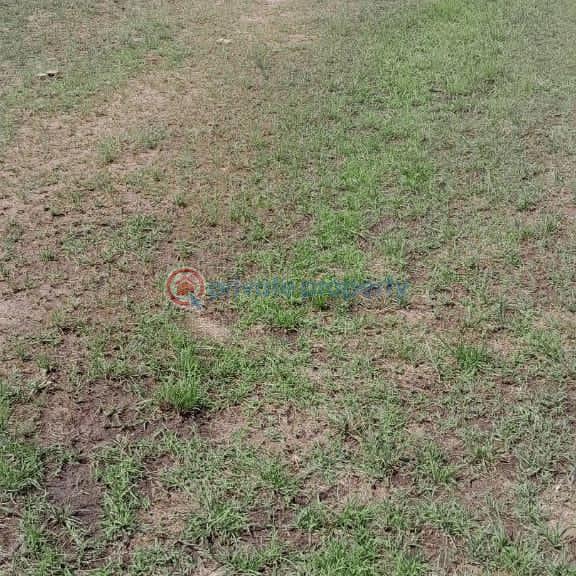 Land For Sale Shai Hills Shai Osudoku Accra - 2