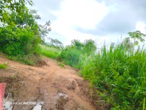 Land For Sale Apesika Kintampo North Municipal Brong Ahafo