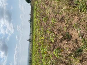 Land For Sale Kasoa Krodua Awutu-Senya West Central Region