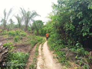 Land For Sale Apam Ekumfi District Gomoa West Central Region