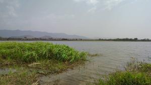 Mixed use Land For Sale Afadjato South Volta Region