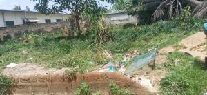 Land For Sale Papaye Down Osu Accra