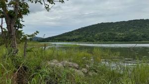 Land For Sale Woadze Afadzato South District Afadjato South Volta Region