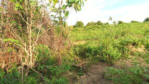 Land For Sale Gomoa Asempanyin Apam Gomoa West Central Region