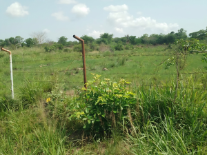 Land For Sale Kpando Municipal Volta Region