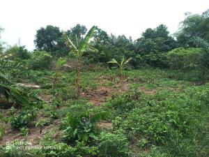 Land For Sale Kwashie Eastern Region Akuapim North Eastern Region