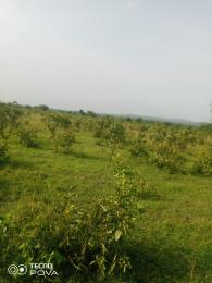 Land For Sale Estate Kintampo South Brong Ahafo