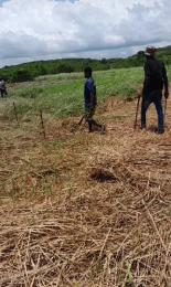 Land For Sale Mankessim Kuntu Mfantsiman Municipal Central Region
