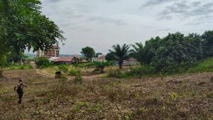 Land For Sale Ho Lokoe Ho Municipal Volta Region