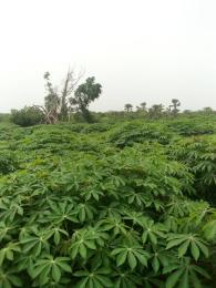 Land For Rent Estate Adaklu Volta Region