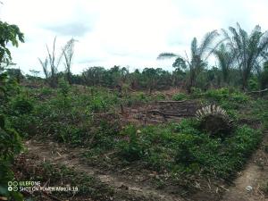Land For Sale Dan Oti Region Ho Municipal Volta Region