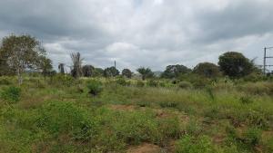 Land For Sale Agona Mampong Mpohor/Wassa East Western Region