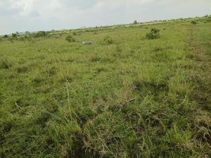 Land For Sale Shai Hills Shai Osudoku Accra