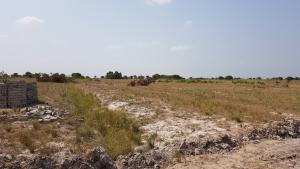 Land For Sale Ningo Prampram District Accra