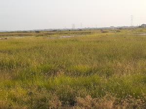 Land For Sale Tema Accra