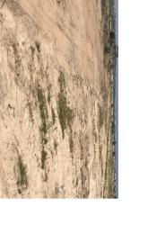 Land For Sale Central University Zion City Tsopoli Ningo Prampram District Accra
