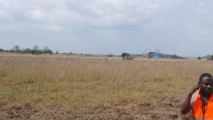Land For Sale Segleme Affordable Housing Bueko Ningo Prampram District Accra