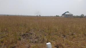 Land For Sale Central University Destination Bueko Ningo Prampram District Accra
