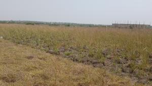 Land For Sale Central University Destination Bueko Ningo Prampram District Accra