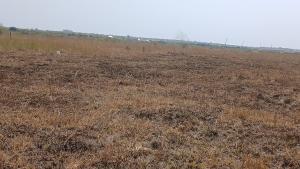 Land For Sale Central University Destination Bueko Ningo Prampram District Accra