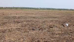 Land For Sale Central University Destination Bueko Ningo Prampram District Accra