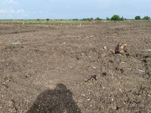 Mixed use Land For Sale Ningo Prampram District Accra