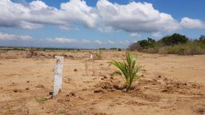 Land For Sale Skyport City Phase 3 Tsopoli Ningo Prampram District Accra