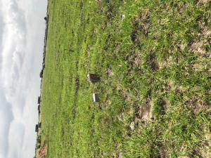 Land For Sale After New Airport City Ningo Prampram District Accra