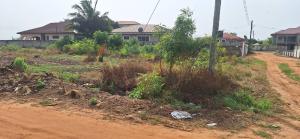 Land For Sale Royal Palm Estate Dawhenya Ningo Prampram District Accra