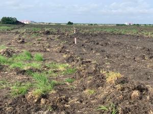 Land For Sale Tema Accra