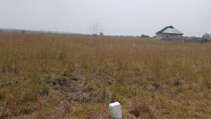 Land For Sale Central University Dawhenya Ningo Prampram District Accra