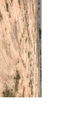 Land For Sale Central University Tsopoli Ningo Prampram District Accra