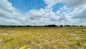 Land For Sale Central University Dawhenya Ningo Prampram District Accra