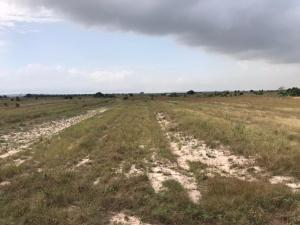 Land For Sale Central University Dawhenya Ningo Prampram District Accra