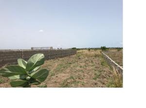 Land For Sale Central University Dawhenya Ningo Prampram District Accra