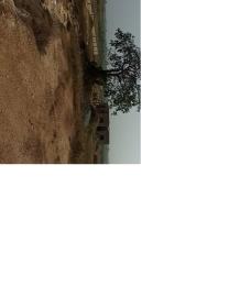 Land For Sale Larkpleku Central University Dawhenya Ningo Prampram District Accra