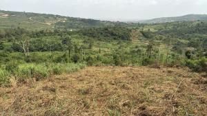 Land For Sale Aburi Akuapim South Municipal Eastern Region