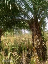 Commercial Land For Sale Estate Ho Municipal Volta Region