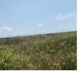 Land For Sale Adom Estate Beverly Hills Community 25 Tema Accra