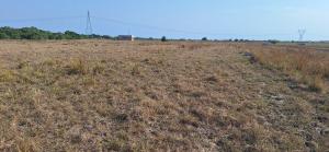 Land For Sale Saglemi Road Tsopoli Ningo Prampram District Accra