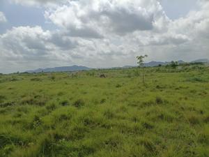 Land For Sale Shai Osudoku Accra