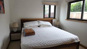 1 bedroom Apartment Short let Nyaniba Osu Accra