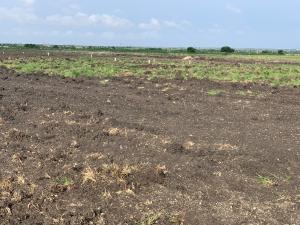 Land For Sale Bueko Ningo Prampram District Accra