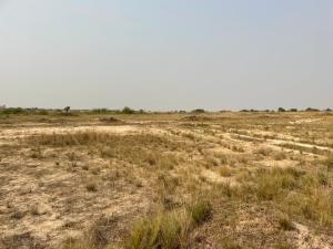 Land For Sale Tsopoli Last Stop Tsopoli Ningo Prampram District Accra