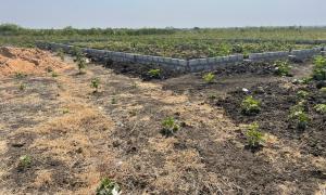 Land For Sale Central University Zion City Bueko Ningo Prampram District Accra