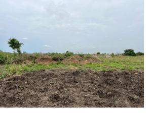 Mixed use Land For Sale Tema Accra