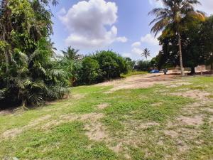 Land For Sale Tech Police Station, Kumasi Ghana Tech. Kumasi Metropolitan Ashanti